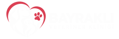 İzmir Bayraklı Veteriner Kliniği